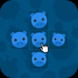 Animal Cells