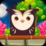 Owl Block